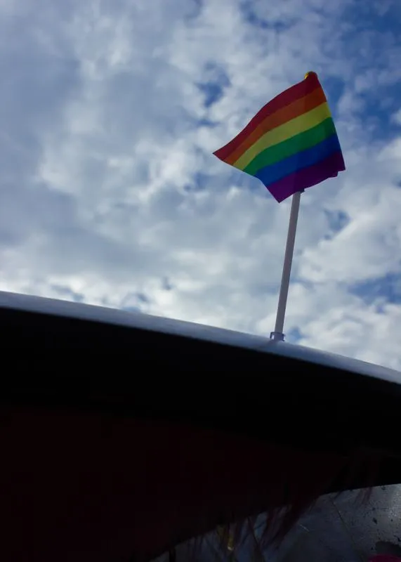 raggare bubbla wolkswagen trans transsymbol alla ska me epa flames pride